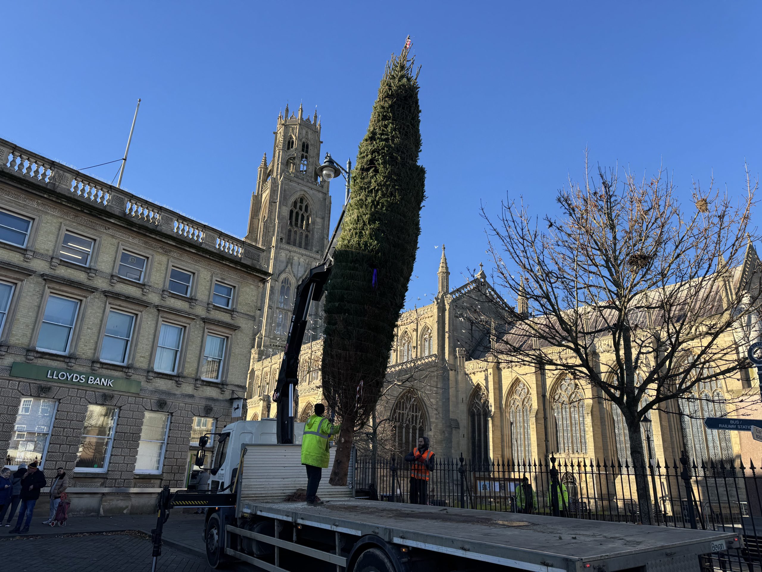 Christmas is coming, as town’s tree is delivered