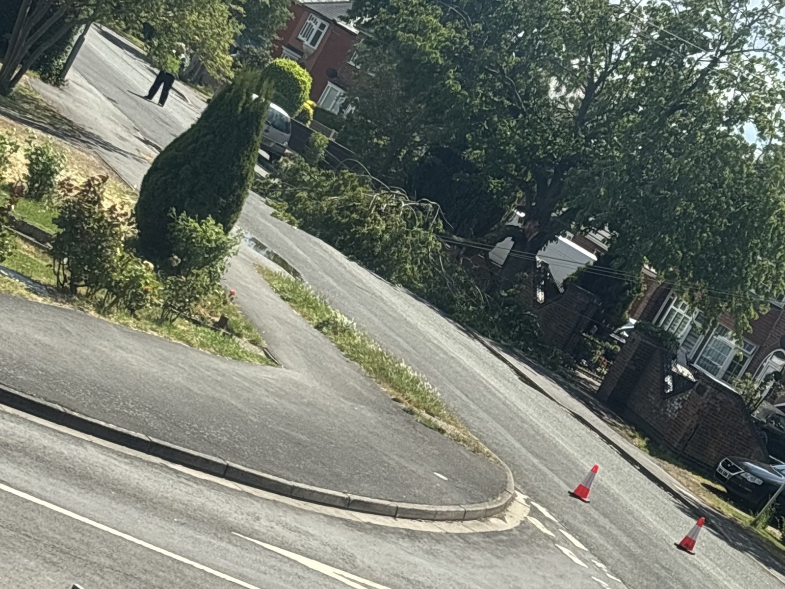 Punchbowl Lane Closed Due to Fallen Tree and Phone Line