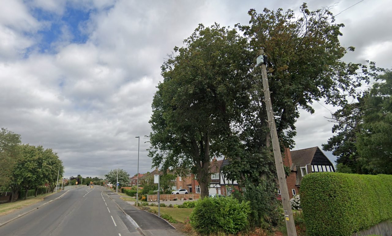 Boston Borough Council Confirms 44 New Tree Preservation Orders Across the Borough