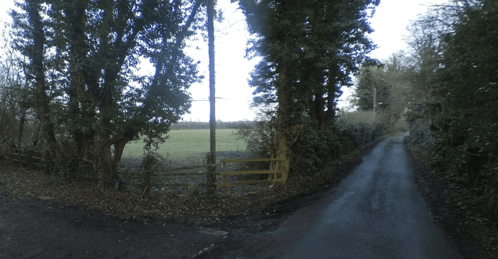 10 new homes approved for Garfits Lane despite access concerns