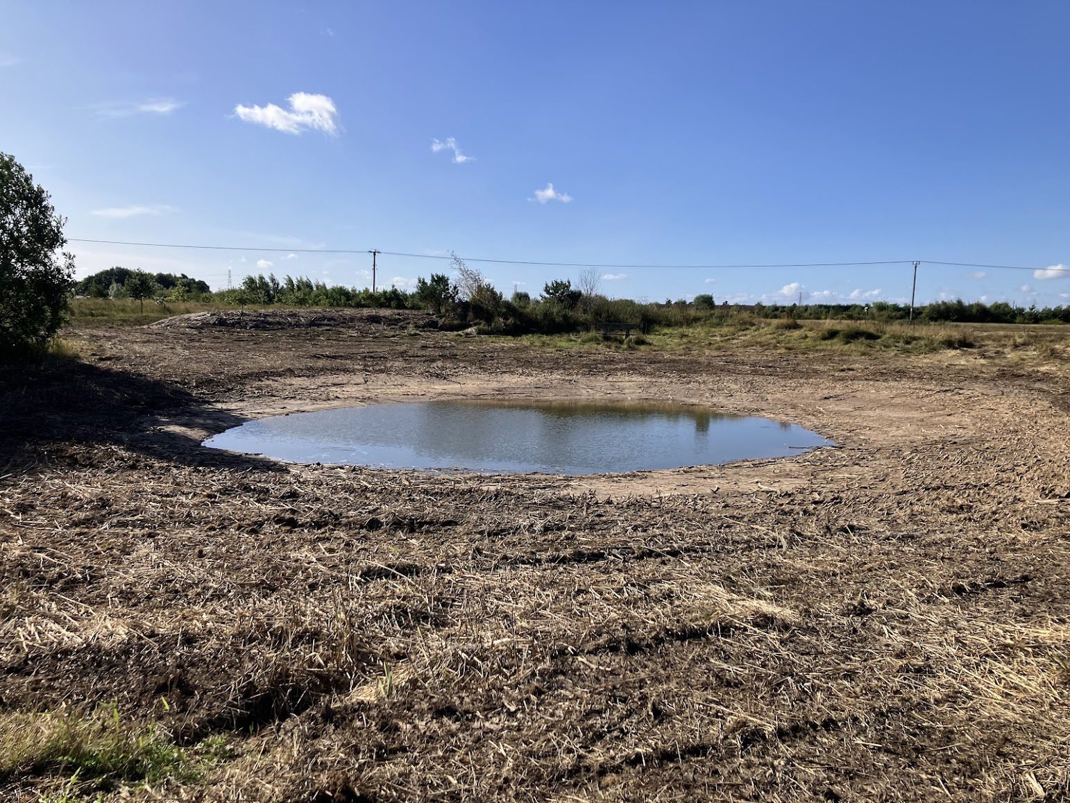 Major Pond Works completed at Boston woodland, as Visitors Urged to Take Care