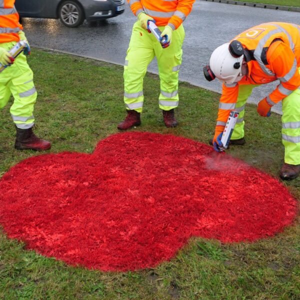 578263636_1406730568121944_2235598865211811893_n