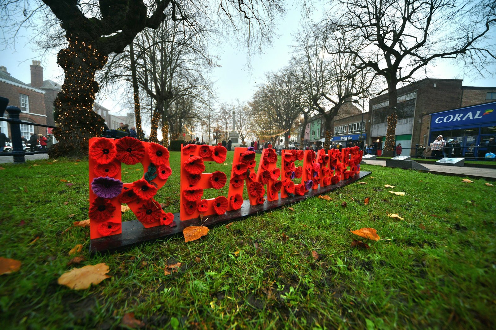 IN PICTURES: Hundreds gather to remember lives sacrificed on Remembrance Sunday
