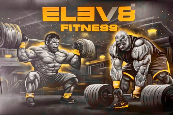 Elev8 Fitness BSTN-06