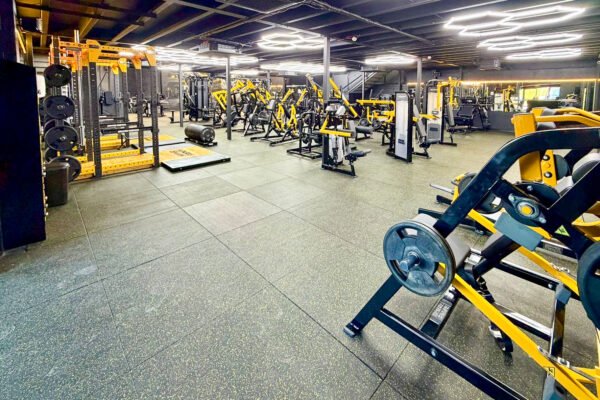 Elev8 Fitness BSTN-07