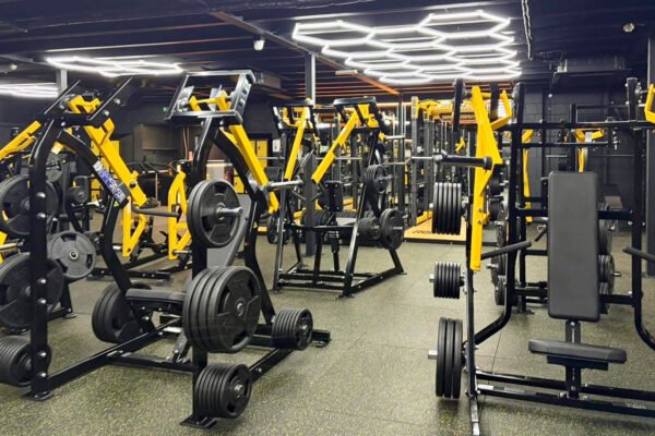 Elev8 Fitness BSTN-13